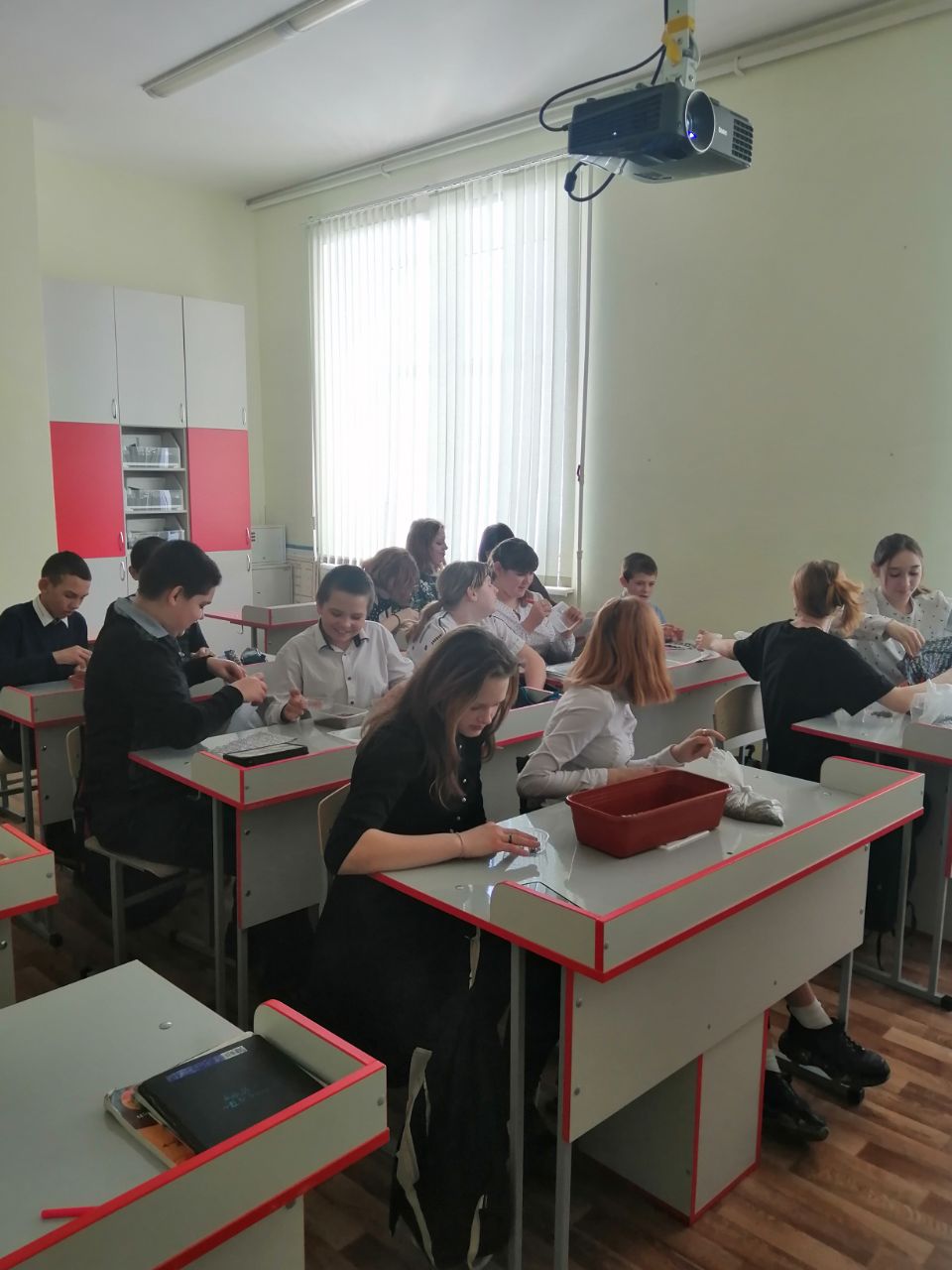 Мир Биологии