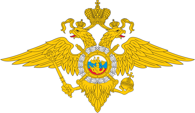 "Прямая линия" с ГУ МВД России по вопросам здоровья, образования, безопасности несовершеннолетних..