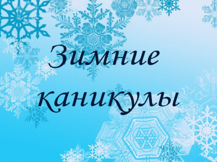 Подведём итоги зимних каникул.